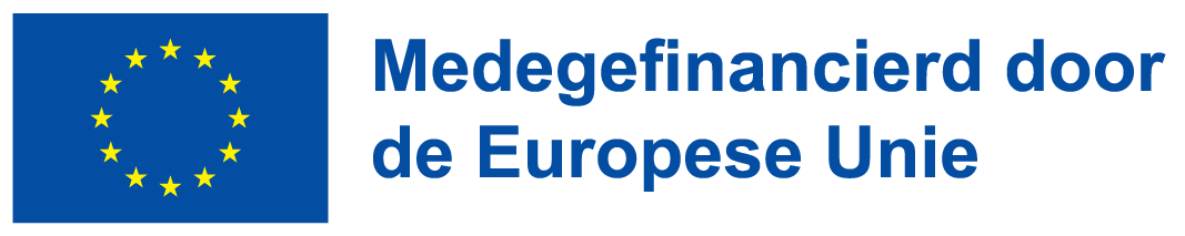 Logo Medegefinancierd door de Europese Unie